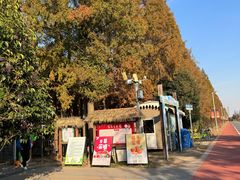 -上海长兴岛郊野公园