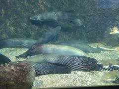 -太平洋海底世界