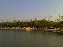 -新江湾城公园