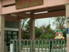 -上海都市菜园