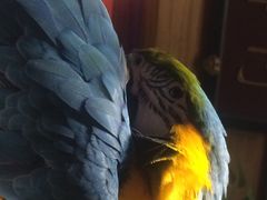 iphone_upload_pic-那家小馆•北京菜•烤鸭(中关村店)