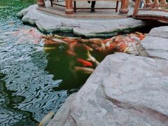 -龙达温泉生态城