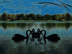 -万柳高尔夫俱乐部