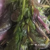补肾生发  全靠你