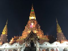 -纳兰傣雀傣味餐厅