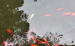 -莲生母婴月子中心(清水河公园店)