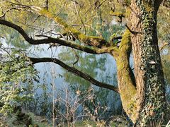 -贵阳市花溪国家城市湿地公园