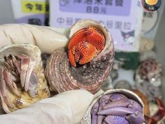 -中环花鸟鱼虫市场