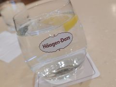 -哈根达斯(石家庄北国店)