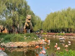 -北京野生动物园