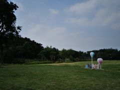 -白塔湖国家湿地公园