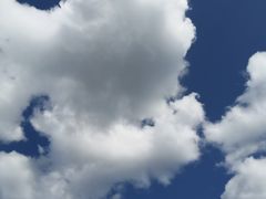 -白河湾生态旅游一条川