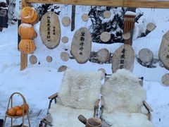 -峡谷浮石林景区