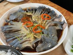 -煲来饱去冷水鱼
