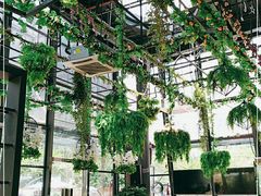 -聚缘·湘味音乐餐厅party(罗湖店)