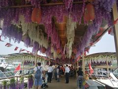 -仙海旅游度假区