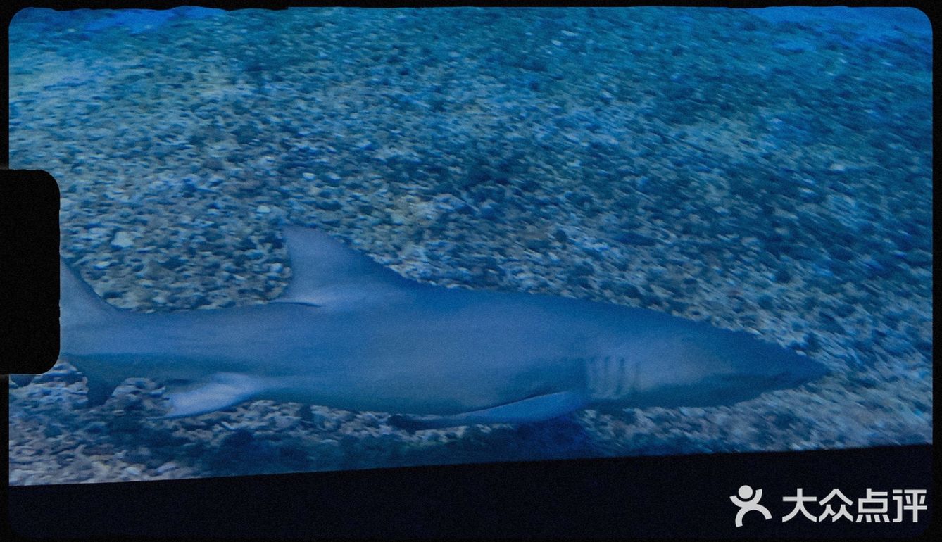 #济南周边游#在海边,是游而不是游泳