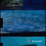 #济南周边游#在海边,是游而不是游泳