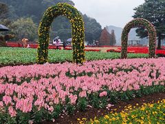 -广州市石门国家森林公园