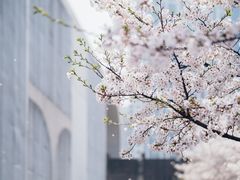 -龙美术馆(西岸馆)