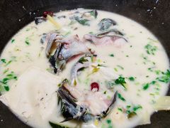鲜潭蒸汽石锅江团鱼-鲜潭蒸汽石锅鱼(五道口购物中心店)