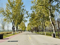 -汉长安城未央宫国家考古遗址公园