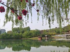 -河北省园博园
