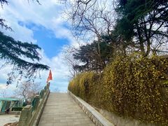 -观象山公园