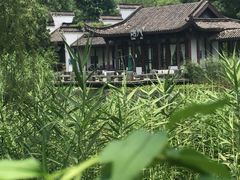 -日出青木·杭帮菜名店