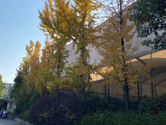 -湖南省地质博物馆