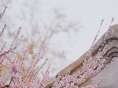 -三里河公园