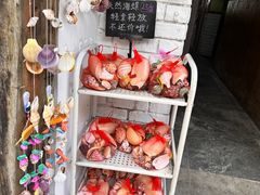 -金山嘴渔村