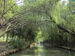 -同里国家湿地公园
