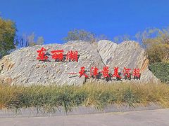 -天津东丽湖风景区