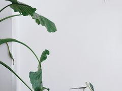 -CHILLAX轻乐时(侨建·Hi City店)