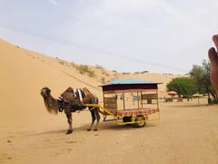 -黄沙古渡原生态旅游区