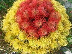 -南通洲际绿博园