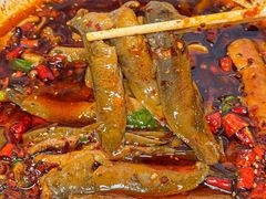 -情妹耙泥鳅·江湖川菜(科华店)