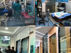 -pd派德宠物中心医院24H急重症·眼科中心·血液透析中心(嵩山北路店)