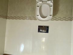 -金山农民画村-枫泾波兰倒置屋