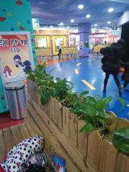 -DoDo梦想城(泉舜购物中心店)