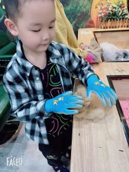 -神奇动物撸宠馆·羊驼·小浣熊·异宠(豫园店)