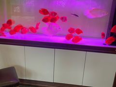 -宁海食府(大剧院店)