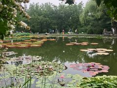 -国家植物园南园