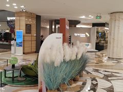 -红星美凯龙国际家居博览中心至尊mall停车场