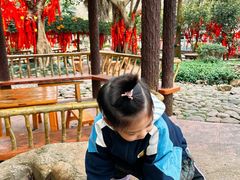 -灵光寺