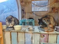 -小时光咖啡馆(开森度假森林店)