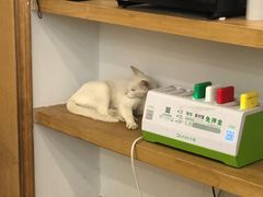 -正南齐北·老街糯米团(洪崖洞店)
