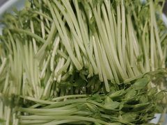 -刘一锅筋头巴脑(经园路店)