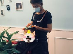 -Hair ART造型沙龙